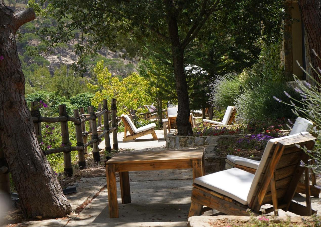 Blue Jay Valley Jezzine Bagian luar foto