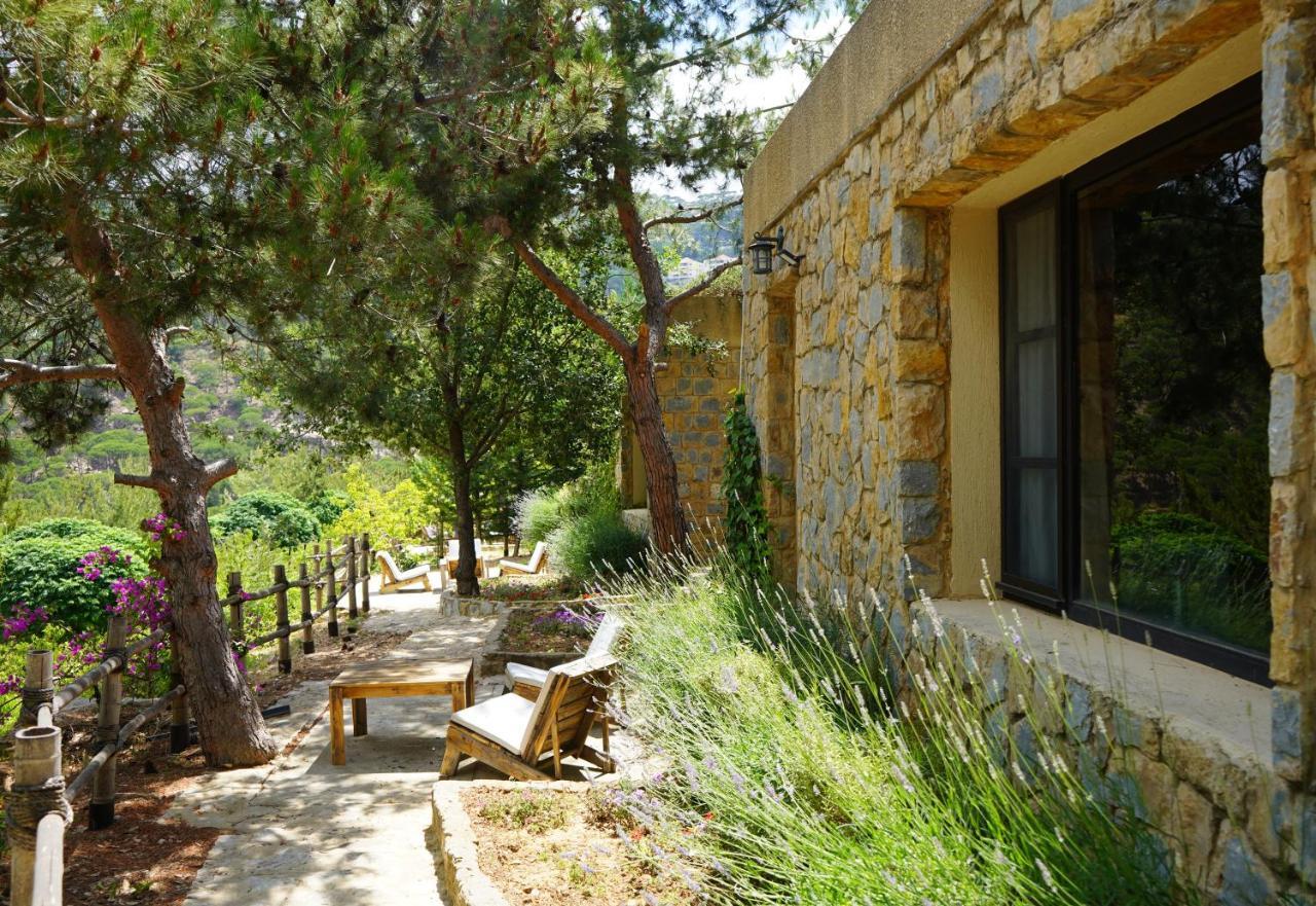 Blue Jay Valley Jezzine Bagian luar foto