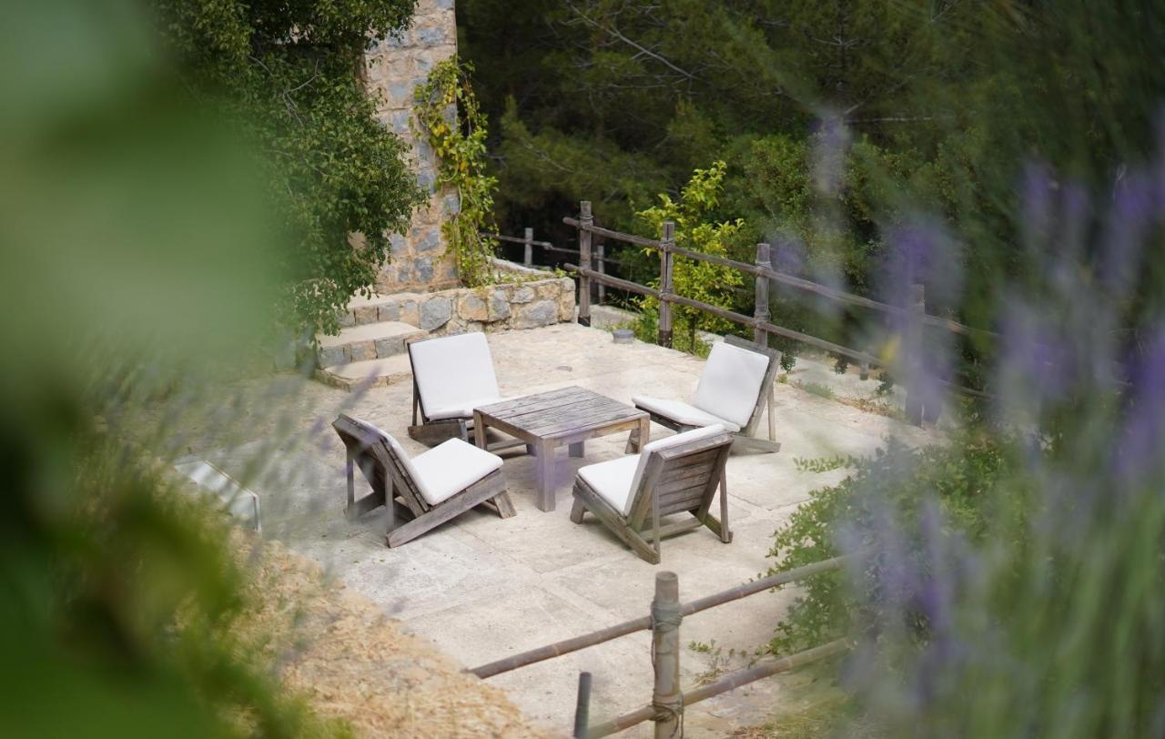 Blue Jay Valley Jezzine Bagian luar foto