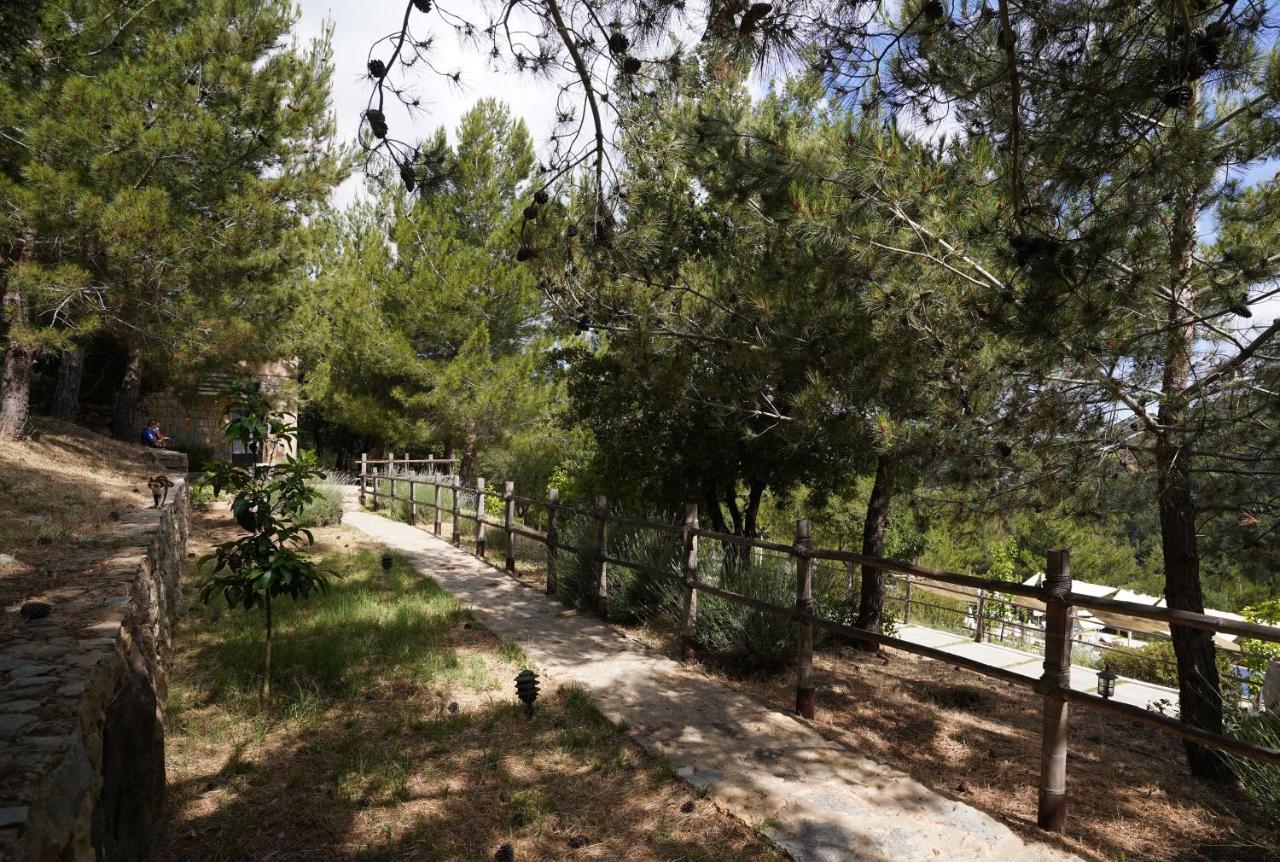 Blue Jay Valley Jezzine Bagian luar foto